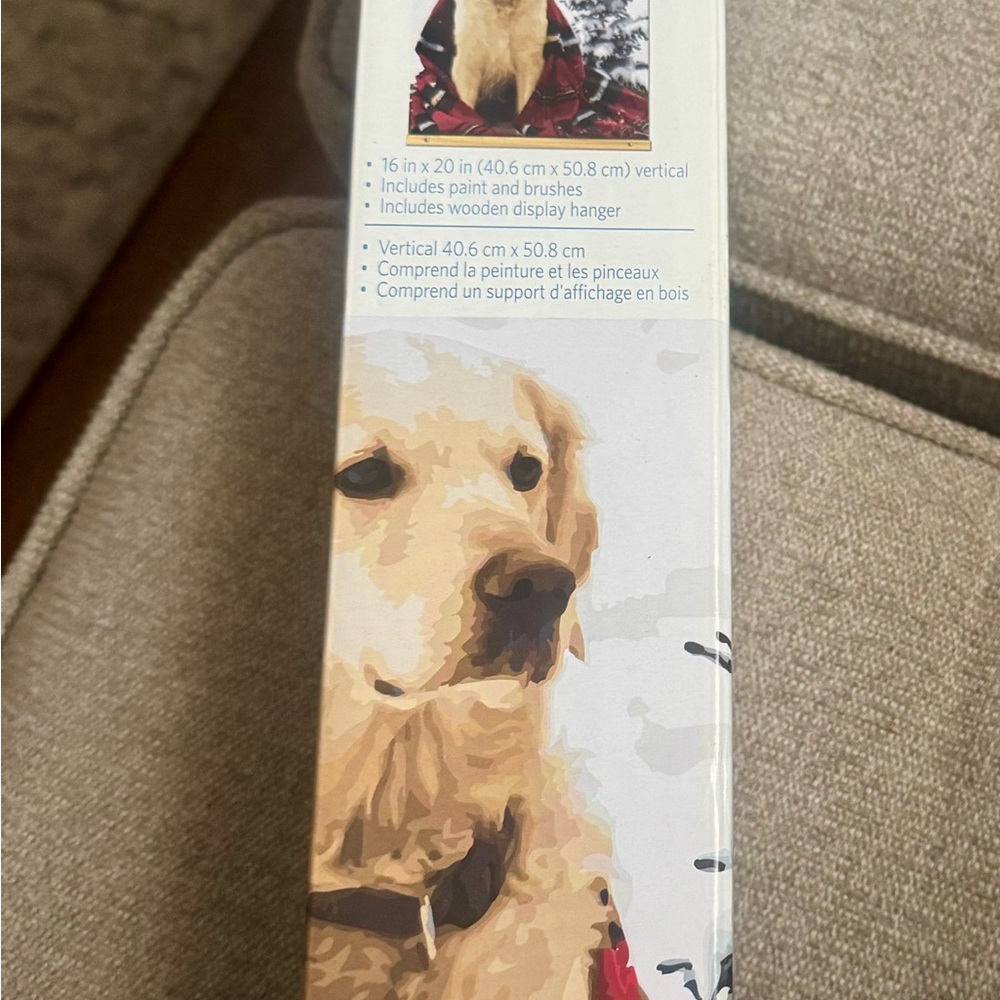 Gold and White Labrador Retriever with Gentle Expression